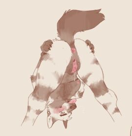 anthro anus ass bent_over big_clitoris blush bodily_fluids canid canine canis clitoris cuntboy cuntboy_anthro flirting flirting_with_viewer genital_fluids genitals intersex intersex_anthro mammal mastectomy_scar nipples nude_anthro nude_cuntboy presenting presenting_hindquarters pussy rear_view scar simple_background solo tan_background tongue tongue_out trans_(lore) trans_man_(lore) vaginal_fluids vannthunder vulva wolf