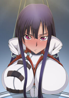 1girls bondage breasts code_geass code_geass:_roze_of_the_recapture enormous_breasts female huge_breasts long_black_hair long_hair looking_at_viewer purple_eyes straitjacket sumeragi_sakuya
