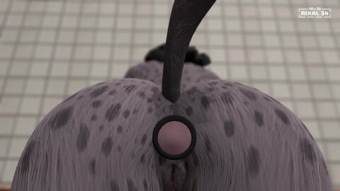 anal_masturbation anal_sex big_butt butt_focus buttplug close-up furry hyena leaking_pussy masturbation moan plug_(sex_toy) pussy_juice pussy_juice_drip rear_view rixal34 sex_toy spots spotted_body spotted_fur tagme vaginal_fluids vibrating video