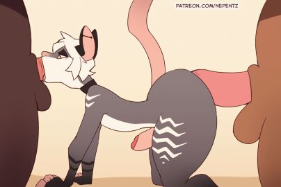 2d_animation american_opossum anal anal_sex animal_genitalia animal_penis animated anthro ass balls big_penis canine_genitalia canine_penis collar collar_only deepthroat ear_piercing face_fucking fellatio femboy furry genitals group group_sex larger_male male male/male mammal marsupial nepentz nude oral oral_penetration ozzie_(nepentz) penetration penile penile_penetration penis penis_in_ass penis_in_mouth piercing sex sheath size_difference spitroast tail threesome throat_fuck thrusting thrusting_into_mouth tongue tongue_out trio