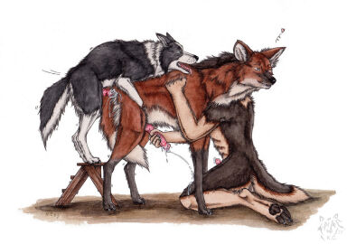 anal anal_sex anthro anthro_on_feral ass black_body black_fur blue_eyes bodily_fluids border_collie brown_body brown_fur canid canine canis collie cum cum_in_ass cum_inside cumshot domestic_dog ejaculation erection feral feral_on_feral feral_penetrated feral_penetrating feral_penetrating_feral from_behind_position fur genital_fluids genitals german_shepherd group group_sex handjob herding_dog kneeling knot kola_(artist) male male/male male_penetrated male_penetrating male_penetrating_male mammal maned_wolf narrowed_eyes nude pastoral_dog penetration penile penile_penetration penis penis_in_ass red_penis sex sheepdog side_view simple_background threesome trio white_background white_body white_fur zoophilia