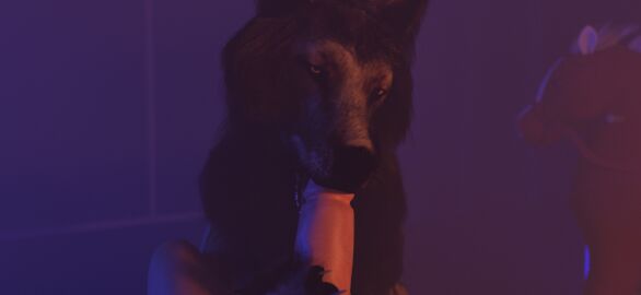 canid canine canis duo fellatio feral first_person_view fur male male/male mammal oral penile penis sex trioami260 wolf