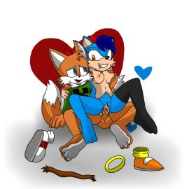 female male male/female mobian_(species) sex sonic_(series) sonic_oc sonic_the_hedgehog_(series) straight tails tails_the_fox youtuber ytalothepobre