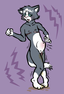 anthro bathroom_control belly_blush big_clitoris bladder_bulge bleakpepper blush bodily_fluids body_blush clitoris cuntboy domestic_cat felid feline felis genital_fluids genitals hi_res intersex legs_together liquid_inflation male mammal mastectomy_scar nude omorashi organs peeing pussy scar shaking solo stomach_bulge trans_man transmasc uncomfortable urine watersports