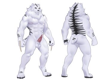 a.n.i.m. anatomically_correct anicon anthro ass ateryx balls cheek_tuft claws digital_media_(artwork) erection facial_tuft fangs felid fur genitals hair hi_res hybrid male mammal model_sheet mythology neck_tuft nipples nude pawpads penis prehistoric_species red_eyes saber-toothed_tiger sabertooth sabertooth_(anatomy) solo solo_focus tail teeth toe_claws tuft