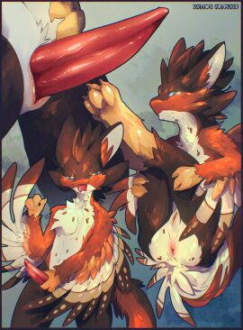 absurd_res animal_genitalia anthro anus avali bedroom_eyes catto_(artist) colored cutaway feathered_tail feathered_wings feathers genitals half-closed_eyes hi_res male narrowed_eyes penis presenting presenting_anus presenting_penis seductive sketch_page solo stroking_penis tail tapering_penis tongue tongue_out winged_arms wings