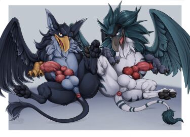 animal_genitalia animal_penis anus avian balls beak big_penis black_body black_feathers canine_genitalia canine_penis character_request claws collaboration duo erection eyebrows feathered_wings feathers feral genitals gryphon gryphplu_(mcfan) hi_res knot looking_at_viewer lying male mcfan mythological_avian mythological_creature mythology on_back original original_character original_characters pawpads penis pluvian presenting presenting_penis scuted_arms scutes tail tail_tuft thick_eyebrows tochka toe_claws tuft unibrow vein veiny_penis wings