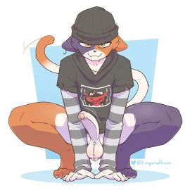 absurd_res anthro balls beanie black_beanie black_clothing black_hat black_headwear black_hoodie black_topwear bodily_fluids bottomless bottomless_anthro bottomless_male calico_cat clothed clothing cock crouching cute_fangs dick domestic_cat ear_piercing epic_games erection fangs felid feline felis femboy fertile foreskin fortnite ftm_crossgender gay genderswap_(ftm) genital_fluids genitals girly hat headgear headwear hi_res hoodie humanoid_genitalia humanoid_penis long_sleeves looking_at_viewer male mammal meow_skulls meow_skulls_(fortnite) orange_eyes pattern_clothing pattern_shirt pattern_topwear penis precum precum_drip rule_63 shirt solo sperm striped_clothing striped_shirt striped_topwear stripes sweater tail teeth tinysmallman topwear uncircumcised