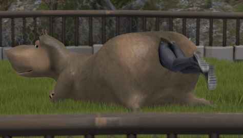 3d 3d_animation amiafurryoraminotidkk anal_vore animated ass bent_over big_ass big_butt bouncing_ass fat feral feral_pred gloria_the_hippopotamus hippopotamid human human_prey jeans looking_back loop madagascar_(series) struggling struggling_prey struggling_to_fit stuck tail vore