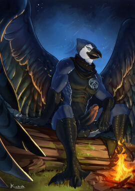 anthro avian balls beak big_penis bird blue_jay corvid erection feathers firecamp genitals hi_res inviting jay_(bird) kaelash male male_only new_world_jay night nude oscine outside passerine penis solo wings