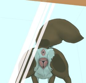 absurd_res against_surface animal_genitalia animal_pussy anus ass ass_focus ass_on_glass ass_up big_ass big_butt brown_body brown_fur butt_focus canid canine canine_genitalia canine_pussy canis domestic_dog female feral feral_only fluffy fluffy_tail fur genitals glass hi_res in_heat mammal on_display on_glass outside_looking_in presenting presenting_hindquarters pussy pussy_on_glass raised_tail shaded simple_background simple_coloring simple_shading sola-lupusowo solo tail