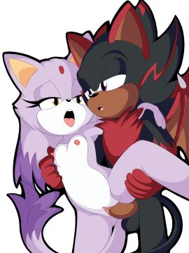 1boy 1girls black_arms_(sonic) blaze_the_cat demon demon_tail demon_wings fan_character female gold_eyes holding_leg j_nsfw keiph_(b.a._demon) keiph_the_tenrec legs_up male purple_eyes sonic_(series) sonic_fan_characters sonic_oc sonic_the_hedgehog_(series) tagme tongue tongue_out two-tone_body