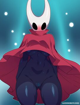 1girls anthro areola ass big_ass big_breasts big_thighs blush breasts bug bug_girl butt female female_focus female_only hollow_knight hornet_(hollow_knight) huge_ass huge_thighs insect_girl insectoid insects looking_at_viewer ludinsketches nipples panties pussy shiny shiny_skin tagme text thick_thighs thighs