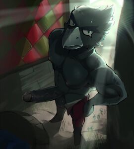 big_penis black_body black_fur brawl_stars crow_(brawl_stars) furry gay male penis