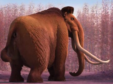 ai_generated all_fours animated anus ass big_butt fat forest_background ice_age_(film) ice_age_(series) inviting_to_sex low-angle_view male male_only mammoth manny_(ice_age) massive_butt naked obese presenting_butt quadruped shaking_butt swinging_balls tagme tail teasing_viewer trunk twerking video