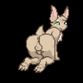 1:1 1boy all_fours anal anal_sex animated anthro anus ass backsack balls ballsack bat bat_ears bat_tail bitassembly claws desert_bat digital_media_(artwork) feet femboy fur genitals green_eyes humanoid_genitalia humanoid_penis invisible_scenario looking_at_viewer looking_back low_res male male_only mammal nude nude_anthro nude_male penetration penis pixel_(artwork) pixel_animation presenting presenting_hindquarters rear_view shaking_ass shaking_butt short_playtime short_tail simple_background solo tail tan_body tan_fur toe_claws transparent_background tuft turo_of_akesh wingless_bat