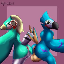 absurd_res amali_(tloz) anthro anus ass avian balls bodily_fluids breath_of_the_wild duo female genitals hi_res kass_(tloz) kass_(zelda) male male/female nintendo presenting presenting_hindquarters pussy rito sweat sweaty_ass sweaty_balls sweaty_butt sweaty_genitalia the_legend_of_zelda vulpine_corvid