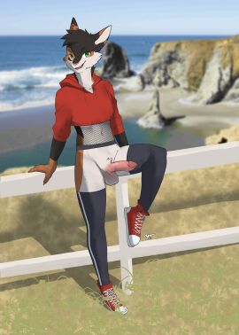 absurd_res anthro balls beach black_body black_fur calico_cat cheek_tuft claws clothing cropped_jacket domestic_cat erection exhibitionism facial_tuft felid feline felis femboy finger_claws fishnet_clothing fishnet_topwear fluffy fluffy_hair footwear fur genitals grass green_eyes hair hand_on_fence hi_res hunter_(hhdrawer) leaning_on_fence legwear mafty_(artist) male mammal neck_tuft orange_body orange_fur outside penis plant public public_exposure public_nudity raised_leg shoes smile smiling_at_viewer solo thigh_highs topwear tuft white_body white_fur