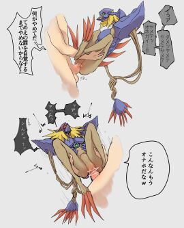 diaboromon digimon female human male penetration penis pussy rope