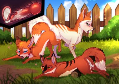 2025 anus ass bodily_fluids canid canine claws cum cum_from_vagina cum_in_vagina cum_inside day digital_drawing_(artwork) digital_media_(artwork) erection feet female female_penetrated feral feral_on_feral feral_penetrated feral_penetrating feral_penetrating_feral fox fur genital_fluids genitals group leaking_cum leaking_vagina male male/female male_penetrating male_penetrating_female mammal outside penetration penile penile_penetration penis penis_in_vagina rukifox sex sky smile tail toes trio vaginal_penetration vulva