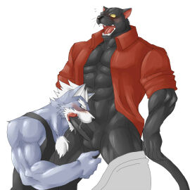 2boys abs akuann anthro balls bara biceps black_fur black_tank_top blush canid canine canis chest_fur collarbone commentary_request fangs felid fellatio furry furry_male grey_fur looking_at_another looking_at_penis looking_down male multiple_boys multiple_males muscular muscular_male notice_lines open_clothes open_mouth open_shirt oral panther panther_caroso pantherine pectoral_cleavage pectorals penis red_shirt sex shirt star_fox star_fox_assault surprised tail tank_top testicles white_background white_hair wolf wolf_o'donnell yaoi