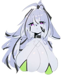 anthro bikini breasts female furry large_breasts looking_at_viewer shiyaa_stuff tagme