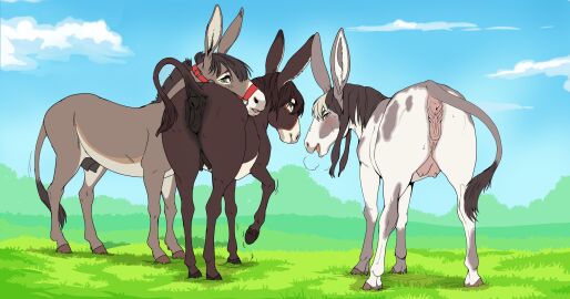 2024 absurd_res animal_genitalia animal_pussy anus asinus ass blush bodily_fluids breasts brown_body brown_fur brown_hair crotchboobs crotchboobs_visible_through_thighs digital_media_(artwork) donkey equid equine equine_anus equine_genitalia equine_pussy female female_feral feral fur genitals grey_body grey_fur group hair hi_res hooves looking_at_viewer looking_back looking_back_at_viewer mammal outside presenting presenting_anus presenting_hindquarters presenting_pussy puffy_anus pussy quadruped raised_tail shebeast sweat tail tail_tuft trio tuft white_body white_fur