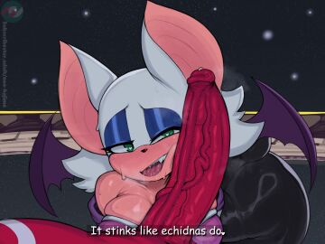 1boy 1girls 2d anthro anthro_on_anthro ass balls bat bat_earrings bat_wings big_breasts big_penis breasts cleavage cock_worship drool drooling echidna eyebrows eyeshadow female female_focus furry green_eyes holding_penis knuckles_the_echidna large_breasts larger_male male mammal mobian mobian_(species) mobian_bat musk musk_clouds musky musky_cock neo_hajime open_mouth partial_male penis red_body red_fur rouge_the_bat saliva saliva_on_penis sega shortstack smell smell_description smelly smelly_cock solo_focus sonic_(series) sonic_adventure_2 sonic_the_hedgehog_(series) steam steamy steamy_penis sweat sweatdrop sweating tail text thighs uncensored white_body white_fur white_hair wings