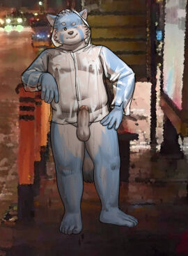 anthro belly blue_body bodily_fluids bottomless canid canine canis clothed clothing djtaka domestic_dog erection foreskin front_view genitals hand_on_hip male mammal moobs mouth_closed one_eye_closed outside penis public public_exposure rain_coat retracted_foreskin solo standing street sweat tongue tongue_out translucent translucent_clothing translucent_topwear uncircumcised