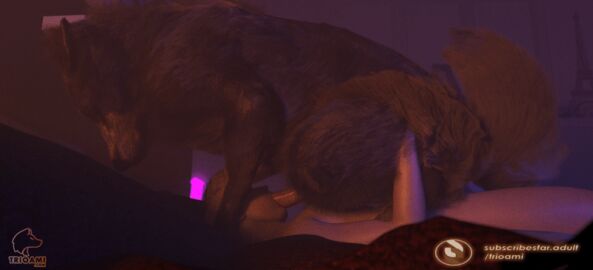16:9 3d ambiguous_gender anal anal_sex animated ass bed body_part_in_ass bouncing canid canine canis cowgirl_position digital_media_(artwork) duo erection female feral feral_penetrated fluffy from_front_position furniture genitals gif holding_tight human human_on_bottom human_on_feral human_penetrating human_penetrating_feral humanoid_genitalia humanoid_penis interspecies kiss_on_lips kissing looking_pleasured male male/ambiguous male/male male_on_bottom male_on_feral male_penetrating mammal mastery_position moan multiple_angles nal on_bottom on_top penetration penile penile_penetration penis penis_in_ass quadruped realistic_feral sex sitting tail trioami260 widescreen wolf yaoi zoophilia