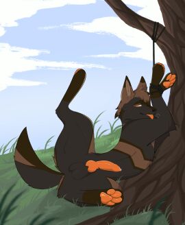 2025 absurd_res animal_genitalia animal_penis animated balls bedroom_eyes bodily_fluids bondage bound breath brown_body brown_fur canid canine canine_genitalia canine_penis cheek_tuft cloud crab-eating_fox detailed_background dipstick_ears drooling ear_markings erection facial_tuft feet feral fluffy foot_focus fox fur furry genital_fluids genitals grass grey_body grey_fur head_tuft hi_res knot looking_at_viewer loop male male_only mammal markings multicolored_ears narrowed_eyes orange_pawpads orange_penis orange_tongue outside panting pawpads paws penis plant precum precum_on_penis presenting quadruped raised_leg restraints rope rope_bondage saliva seductive sky solo solo_male soren_(sorenrocks) spread_legs spreading tail tail_markings tail_motion tailwag tan_body tan_fur tied_to_tree tongue tongue_out tree tuft vaitins