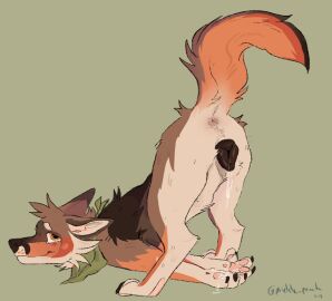 animal_genitalia animal_pussy anus ass ass_up bandana black_nose black_pussy blush blush_lines bodily_fluids brown_body brown_fur canid canine canine_genitalia canine_pussy canis claws coyote cum cum_drip digitigrade doomedfordeath dripping female feral fur genital_fluids genitals green_background hi_res in_heat kerchief looking_at_viewer looking_back mammal multicolored_body multicolored_fur neckerchief orange_body orange_eyes orange_fur pawpads paws presenting presenting_anus presenting_hindquarters presenting_pussy pussy pussy_juice_drip pussy_juice_string quadruped raised_tail signature simple_background smile solo tail tail_anus tan_body tan_fur toe_claws tuft vaginal_fluids