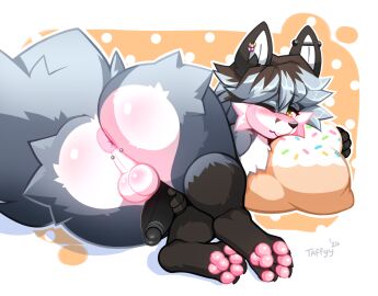 1boy anthro anus ass ass_focus backsack balls ballsack big_ass big_butt black_body black_fur black_nose black_penis blush canid canine ear_piercing embarrassed femboy fox fur furry genitals girly grey_body grey_fur guiche_piercing hand_on_penis hi_res hindpaw looking_at_viewer looking_back lying male male_only mammal on_side pawpads paws penis perineum piercing pillow pillow_hug pink_anus solo taffyy white_body white_fur