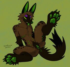 2024 4_toes 6_nipples anthro anus belly_nipples birdpaw_(artist) black_body black_ears black_eyebrows black_eyes black_fur black_tail bodily_fluids brown_body brown_fur canid canine cheek_tuft chest_tuft claws cuntboy dated digital_media_(artwork) eyebrows facial_tuft fangs feet full-length_portrait fur genitals gloves_(marking) green_anus green_background green_claws green_inner_ear green_insides green_nipples green_nose green_pawpads green_pussy green_scar green_sclera green_tongue hi_res humanoid_genitalia humanoid_pussy intersex leg_markings long_ears mammal markings mastectomy_scar multi_nipple nipples nude nude_anthro nude_cuntboy pawpads portrait purple_eyelids pussy raised_leg saliva scar simple_background sitting smile socks_(marking) solo spots spotted_body spotted_fur tail tail_anus tail_tuft teeth toe_claws toes tongue tongue_out tuft