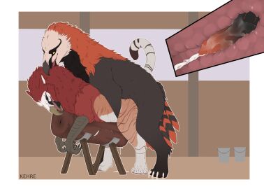 absurd_res accipitriform anal anal_sex ass aterius_(kehreazerith) avian beak bird black_beak black_body black_claws black_fur black_knot black_penis bodily_fluids brown_beak claws cum cum_in_ass cum_inside duo feathers feral fur genital_fluids genitals gryphon hi_res hybrid internal internal_anal kehreazerith knot male male/male multicolored_penis muriat mythological_avian mythological_creature mythology orange_body orange_fur penetration penis red_body red_feathers red_fur red_penis sex_toy vulture white_body white_claws white_fur