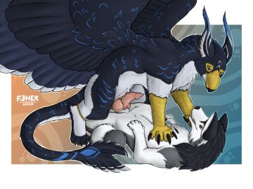 4:3 animal_genitalia avian canid canine canis deya_(billeur_entropy) domestic_dog duo feher female feral fur genitals gryphon hi_res husky knot male male/female mammal mythological_avian mythological_creature mythology nordic_sled_dog penis sheath spitz tail white_body white_fur