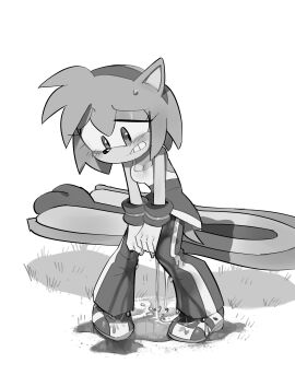 amy_rose blush cringing embarrassed female holding_crotch omorashi pants peeing peeing_self pinklilim puddle sega sonic_(series) sonic_riders sonic_the_hedgehog_(series) wetting wetting_self