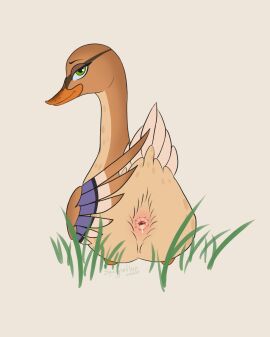 anas anatid animal_genitalia anseriform avian beak bird bodily_fluids brown_body cloaca cloaca_juice dabbling_duck digital_media_(artwork) duck feathered_wings feathers female feral genital_fluids genitals hi_res looking_at_viewer mallard simple_background solo squiggleflop wings