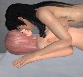 3d breasts dead_or_alive female honoka_(doa) kasumi_(doa) kissing xnalara yuri