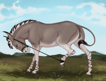 african_wild_ass angry animal_genitalia animal_pussy ankles_tied anus asinus blue_eyes bondage bound bound_leg bracelet bridle clitoral_winking clitoris cloud donkey donkey_ears ears_back equid equine equine_anus equine_genitalia equine_pussy eyelashes female feral feral_bondage frown full-length_portrait genital_piercing genitals glaring grass grey_body hi_res hill hooves jewelry labia_piercing leg_markings long_ears looking_at_viewer lowered_head mammal mane markings mohawk multicolored_body multicolored_mane outside piercing pink_inner_pussy pivoted_ears plant portrait pussy pussy_piercing questionable_consent raised_leg side_view simple_background sky solo standing tail tail_tuft tj_(nightdancer) tuft two-tone_body velvet_requiem