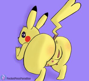 2024 animated anthro anus ass big_ass big_butt breasts digital_media_(artwork) female feral generation_1_pokemon genitals looking_back nintendo pikachu pokemon pokemon_(species) presenting presenting_hindquarters presenting_pussy pussy shaking_ass shaking_butt side_boob solo stella_(trippybunny) teats thick_thighs trippybunny