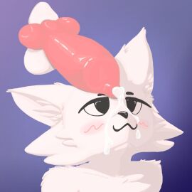 1boy 2boys 2d :3 anatomically_correct_genitalia anatomically_correct_penis animal_genitalia animal_penis anthro anthro_femboy anthro_male anthro_on_anthro balls blush blush_lines boykisser boykisser_(meme) canine_penis cock cock_worship cum cum_on_face cumdrip cumming erection felid feline felis femboy fur furry furry_male furry_only gay genitals knot knotted_penis large_penis looking_at_penis male male/male male_only meme multiple_boys multiple_males nekobias penis penis_awe shading sheath silly_cat_(mauzymice) simple_background solo white_body white_fur