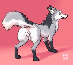 animal_genitalia animal_penis anus ass balls beloved_(kettukarkki) canid canine canine_genitalia canine_penis feral fox fur genitals grey_body grey_fur hakudoge hi_res male mammal paws penis pink_anus quadruped red_fox sheath silver_fox solo true_fox yellow_eyes