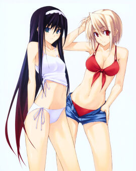 2girls arcueid_brunestud arms_behind black_hair blonde_hair blue_eyes female front-tie_bikini hand_on_head hand_on_hip melty_blood multiple_females multiple_girls posing red_eyes shingo short_hair shorts side-tie_bikini smile swimsuit teasing tohno_akiha tsukihime two-tone_hair type-moon unzipped vampire_girl very_long_hair