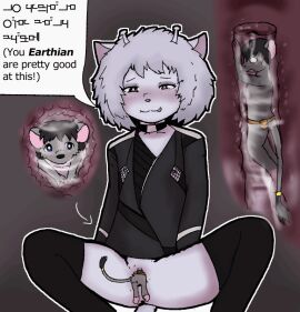 accessory alien animated antennae_(anatomy) anthro belt belt_pouch black_clothing black_hair black_legwear black_thigh_highs blep blue_body blue_skin blush bodily_fluids cervix clitoris clothing directional_arrow duo eyeshadow female fur furgonomics genital_fluids genitals giantess grey_body grey_fur hair internal internal_vaginal jewelry legwear macro makeup male mammal micro mouse murid murine nipples pocket_jabari pussy ring rodent tail tail_accessory tail_jewelry tail_ring teruni-inamor teruni-nemira-inamor text thigh_highs tongue tongue_out unbirthing vaginal_fluids vaginal_penetration virelli vore vulva white_hair