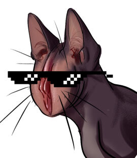 errokioslem eyewear felid feline feline_ears female feral genitals humanoid_genitalia humanoid_vulva hybrid mammal open_species pixel_glasses portrait pussy pussy_creature simple_background solo_focus sunglasses three-quarter_portrait three-quarter_view what white_background