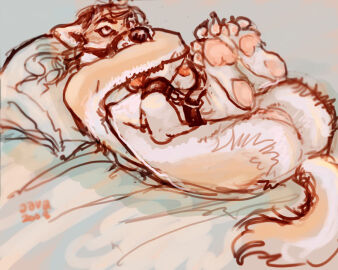 2008 anthro ass bed bondage bound breasts canid canine countershading digital_media_(artwork) female furniture genitals hair java lying mammal muzzle_(object) on_back paws pillow pussy raised_paw restraints solo