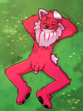 ankle_tuft anthro balls black_pawpads canid canine canis casual_nudity cel_shading cerise-cerulean closed_eyes cute_fangs domestic_dog eyebrows foreskin fur genitals grass hands_behind_head hi_res humanoid_genitalia inner_ear_fluff knee_tuft leg_tuft lying male mammal mouth_closed multicolored_body nature nonsexual_nudity nude on_back pawpads paws penis plant red_body red_fur relaxing shaded solo solo_focus spread_legs spreading tail tuft two-tone_body uncircumcised watermark white_body white_ears white_fur white_tail