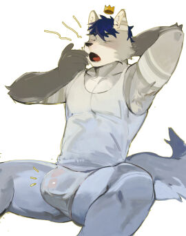 2024 anthro bulge canid clothing detailed_bulge fur genital_outline grey_body grey_fur hair hi_res male male_only mammal open_mouth penis penis_outline sitting solo tail topwear underwear yawn yuuko891