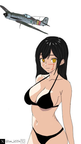 black_bikini black_hair chainsaw_man demon demon_girl female focke-wulf_fw_190 focke_wulf history mitaka_asa nazi plane swastika tagme tim_heyderich ww2 yoru_(chainsaw_man)
